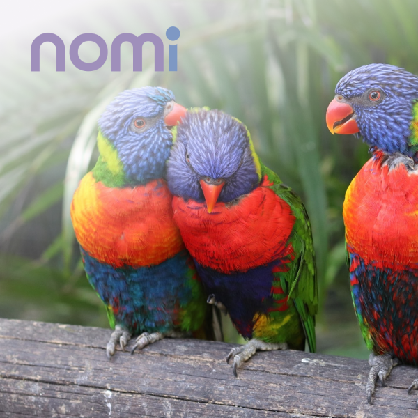 nomi new product 1